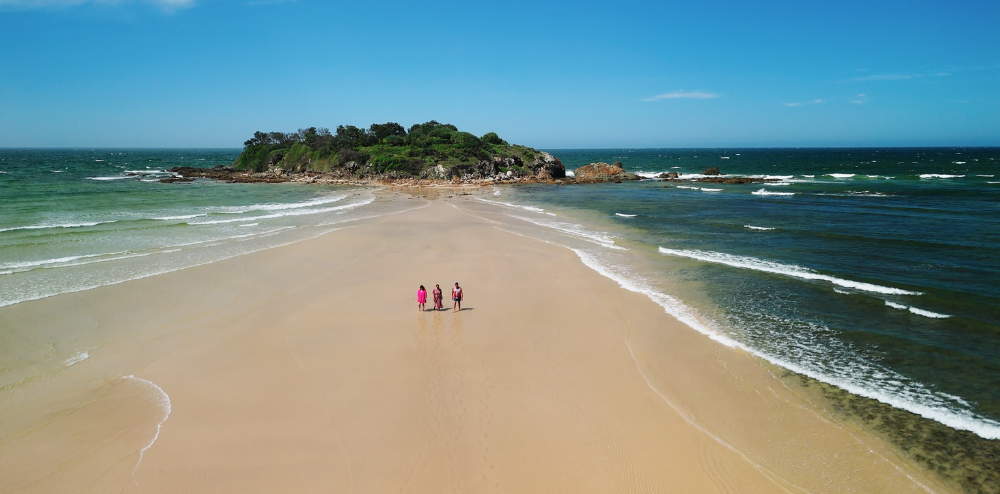 Image for Official Opening of We are the land we walk upon